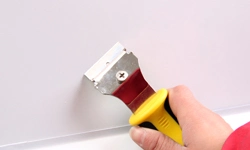 Cleaning Scraper Plastic Razor Scraper with Double-Edged Plastic Blades