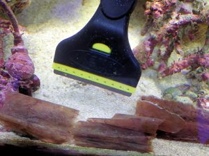 NF1612C (5).jpg